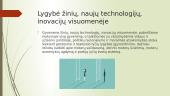 Lyčių lygybės politikos įgyvendinimo Lietuvoje analizė, direktyvos 4 puslapis