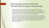 Lyčių lygybės politikos įgyvendinimo Lietuvoje analizė, direktyvos 5 puslapis