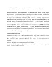 Lietuvoje taikomo nekilnojamojo turto mokesčio analizė 13 puslapis