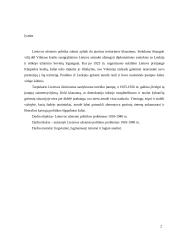 Lietuvos užsienio politikos problemos 1918-1940 m. 2 puslapis