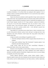 Lizingo sutarties finansinė nuoma  2 puslapis