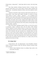 Lizingo sutarties finansinė nuoma  9 puslapis