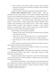 Lizingo sutarties finansinė nuoma  10 puslapis