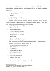 Logistikos transporto įmonės kūrimas 13 puslapis