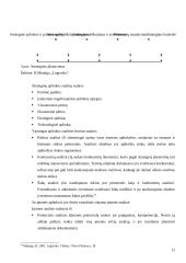 Logistikos transporto įmonės kūrimas 15 puslapis