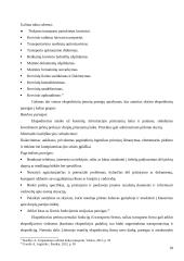 Logistikos transporto įmonės kūrimas 18 puslapis