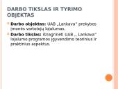 UAB „Lankava“ parduotuvės vartotojų lojalumas  3 puslapis