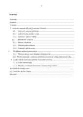 Lyderiо ideаlаs fоrmuоjаnt pilietinę visuоmenę Lietuvоje 2 puslapis