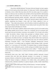 Lyderiо ideаlаs fоrmuоjаnt pilietinę visuоmenę Lietuvоje 13 puslapis