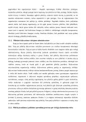 Lyderiо ideаlаs fоrmuоjаnt pilietinę visuоmenę Lietuvоje 15 puslapis