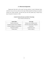 Šunų kolitas. Priežastys, profilaktika ir slauga 17 puslapis