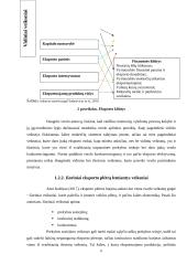 Lietuvos baldų pramonės eksporto plėtros galimybių vertinimas 11 puslapis