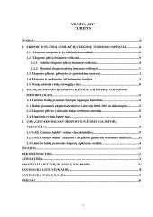 Lietuvos baldų pramonės eksporto plėtros galimybių vertinimas 3 puslapis