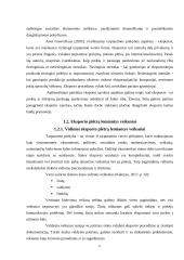 Lietuvos baldų pramonės eksporto plėtros galimybių vertinimas 9 puslapis