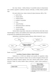 Lietuvos baldų pramonės eksporto plėtros galimybių vertinimas 10 puslapis