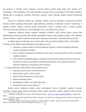 Radvilų giminės architektūrinio paveldo panaudojimas kultūriniame turizme 12 puslapis