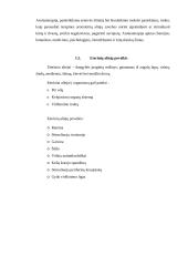 Aromaterapija ir jos poveikis žmogaus būsenai 10 puslapis