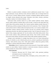 Medienos apdirbimo pramonės aplinkosauginis ir ekonominis vertinimas 2 puslapis