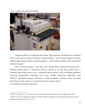 Medienos apdirbimo pramonės aplinkosauginis ir ekonominis vertinimas 11 puslapis