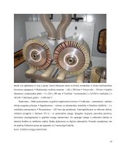 Medienos apdirbimo pramonės aplinkosauginis ir ekonominis vertinimas 12 puslapis