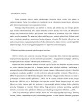 Medienos apdirbimo pramonės aplinkosauginis ir ekonominis vertinimas 17 puslapis