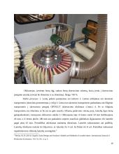 Medienos apdirbimo pramonės aplinkosauginis ir ekonominis vertinimas 10 puslapis