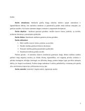 Medienos gaminiai grindims: medžio masyvo lentos, parketas, jų savybės, techniniai duomenys, panaudojimo galimybės 2 puslapis