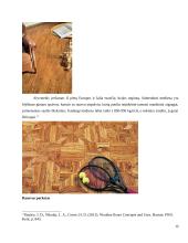 Medienos gaminiai grindims: medžio masyvo lentos, parketas, jų savybės, techniniai duomenys, panaudojimo galimybės 12 puslapis