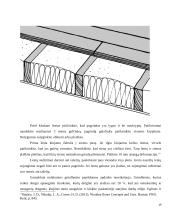 Medienos gaminiai grindims: medžio masyvo lentos, parketas, jų savybės, techniniai duomenys, panaudojimo galimybės 19 puslapis