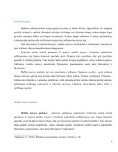 Medienos gaminiai grindims: medžio masyvo lentos, parketas, jų savybės, techniniai duomenys, panaudojimo galimybės 3 puslapis