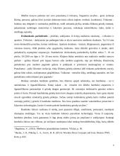 Medienos gaminiai grindims: medžio masyvo lentos, parketas, jų savybės, techniniai duomenys, panaudojimo galimybės 4 puslapis