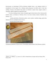 Medienos gaminiai grindims: medžio masyvo lentos, parketas, jų savybės, techniniai duomenys, panaudojimo galimybės 5 puslapis