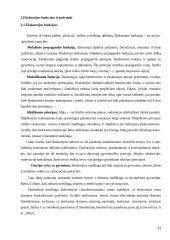 Mieste organizuojamų ekskursijų senjorams poreikis 11 puslapis