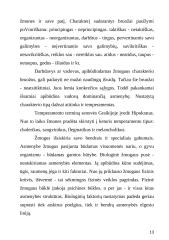 Mokinio pedagoginė psichologinė charakteristika 13 puslapis