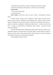 Nekilnojamojo daikto pirkimo – pardavimo sutarties sudarymo ir vykdymo ypatumai 4 puslapis