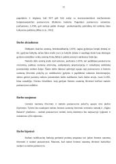 Asmenų, jaučiančių lėtinį nugaros apatinės dalies skausmą, liemens raumenų ištvermės ir statinės pusiausvyros sąsajos 12 puslapis