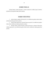 Asmenų, jaučiančių lėtinį nugaros apatinės dalies skausmą, liemens raumenų ištvermės ir statinės pusiausvyros sąsajos 13 puslapis