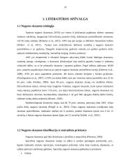 Asmenų, jaučiančių lėtinį nugaros apatinės dalies skausmą, liemens raumenų ištvermės ir statinės pusiausvyros sąsajos 14 puslapis