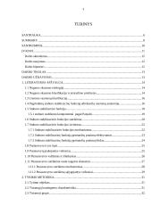 Asmenų, jaučiančių lėtinį nugaros apatinės dalies skausmą, liemens raumenų ištvermės ir statinės pusiausvyros sąsajos 3 puslapis