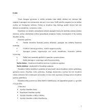 Draudimo teoriniai ir praktiniai aspektai 2 puslapis