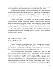 Draudimo teoriniai ir praktiniai aspektai 12 puslapis