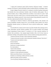Draudimo teoriniai ir praktiniai aspektai 17 puslapis