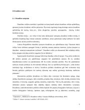 Draudimo teoriniai ir praktiniai aspektai 4 puslapis