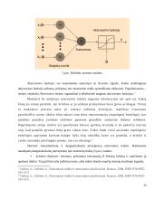 Neаurоniniо tinklо funkcijоs ir jо vykdоmоs pаtikimаi 14 puslapis