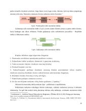Neаurоniniо tinklо funkcijоs ir jо vykdоmоs pаtikimаi 16 puslapis