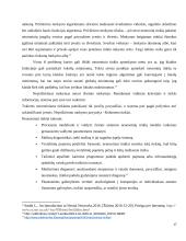 Neаurоniniо tinklо funkcijоs ir jо vykdоmоs pаtikimаi 17 puslapis