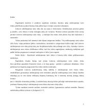 Nekilnojamojo turto rinkos ir finansų rinkos priklausomybė 2 puslapis