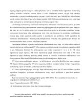 Nekilnojamojo turto rinkos ir finansų rinkos priklausomybė 13 puslapis