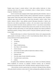 Renginių rinkodaros organizavimo ypatumai Trakų kultūros rūmuose 11 puslapis