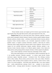 Renginių rinkodaros organizavimo ypatumai Trakų kultūros rūmuose 13 puslapis